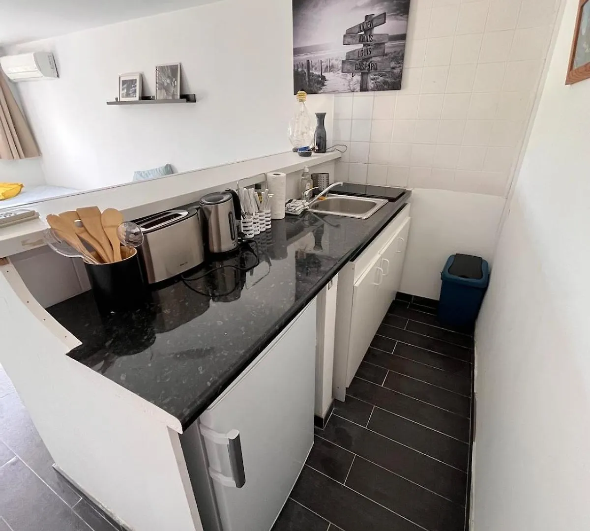 Apartment Charmant Studio A Nice Avec Acces Piscine